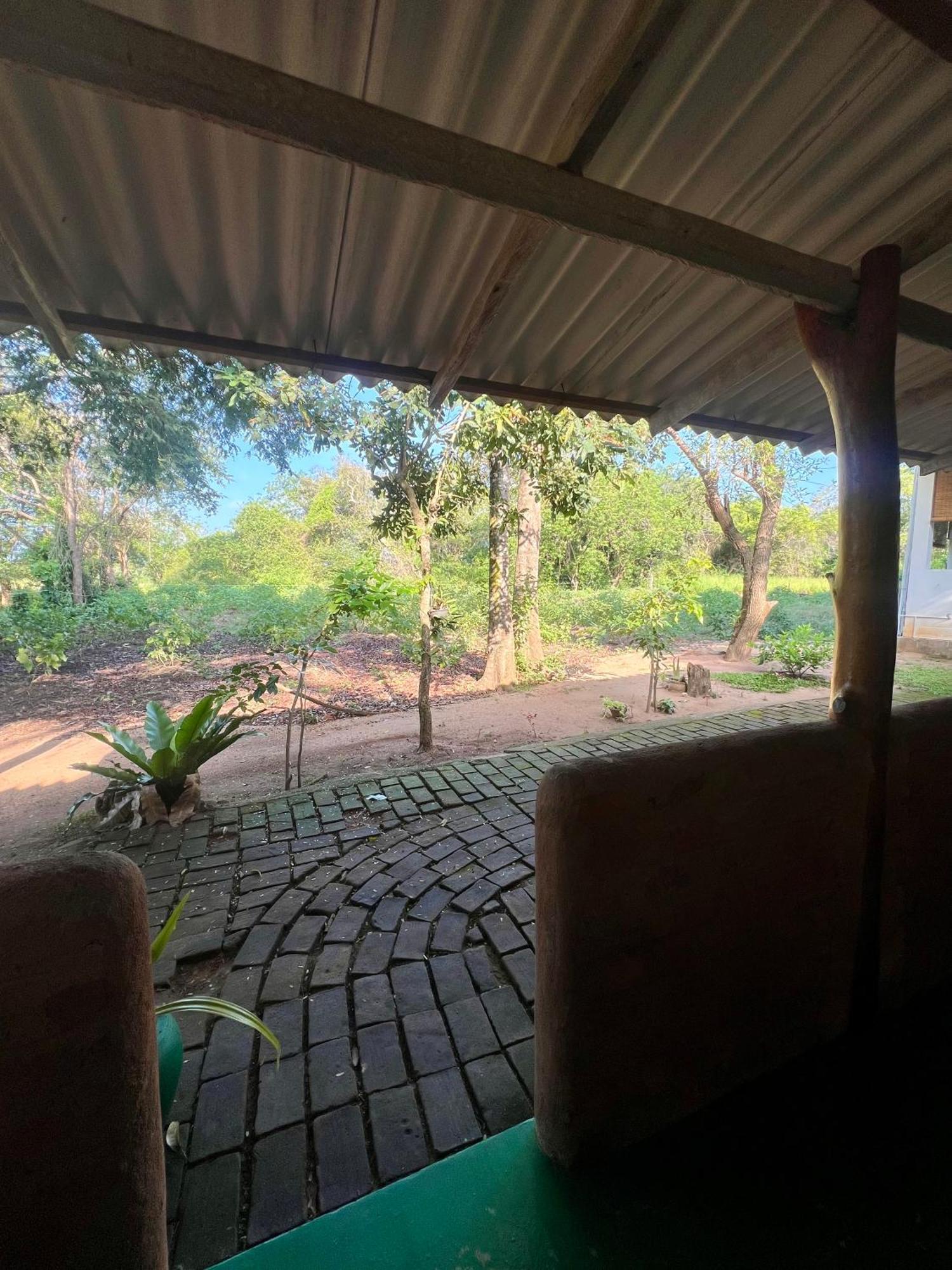 Tembo Cottage Vườn quốc gia Wilpattu Ngoại thất bức ảnh