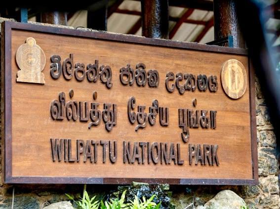Tembo Cottage Vườn quốc gia Wilpattu Ngoại thất bức ảnh