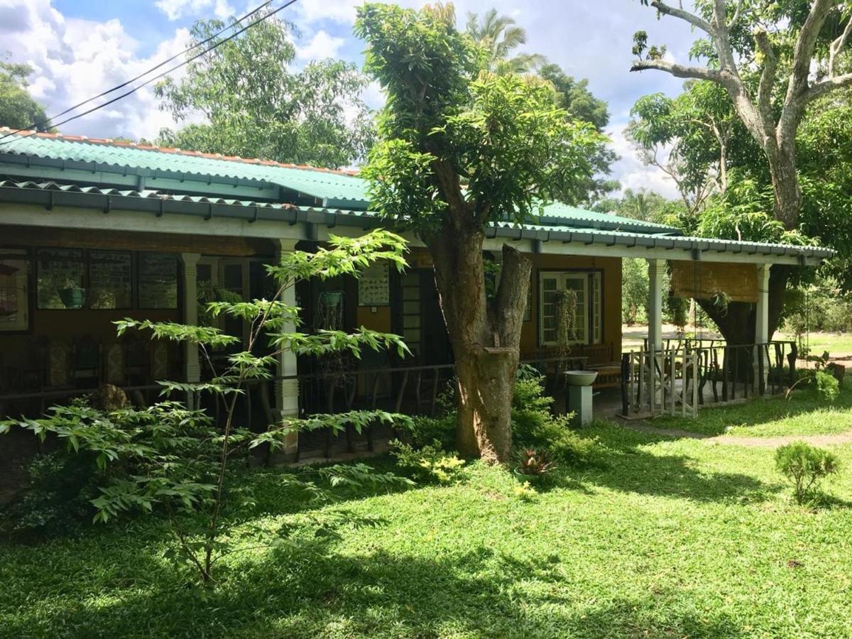Tembo Cottage Vườn quốc gia Wilpattu Ngoại thất bức ảnh